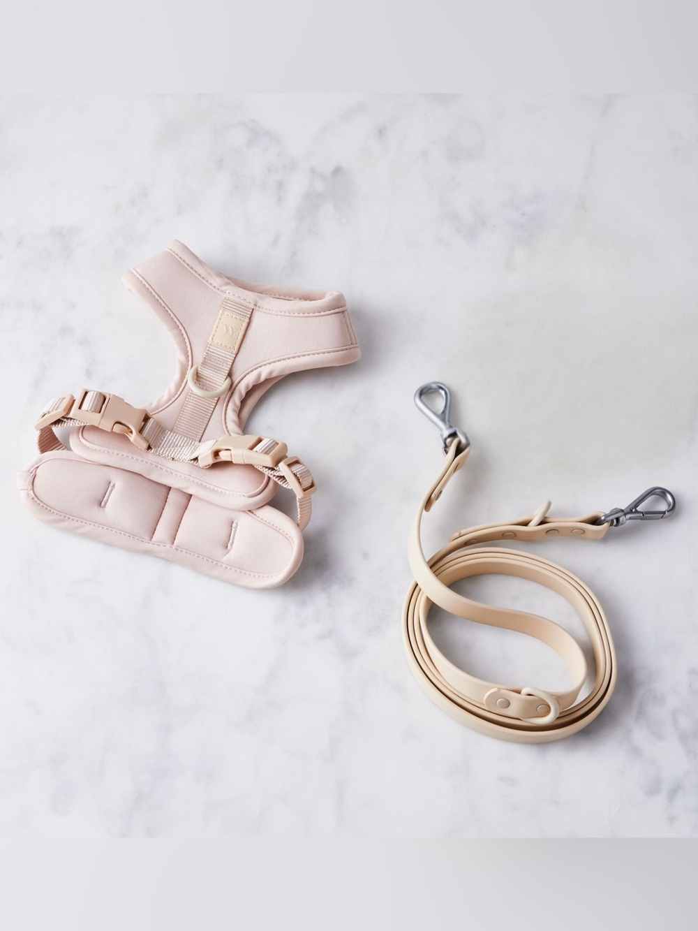 Wild One Cushioned Harness + Lightweight Leash